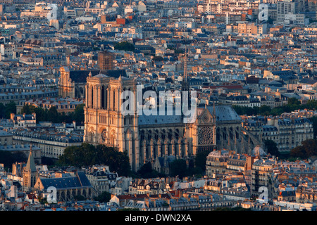 Notre-Dame de Paris Cathedral, Paris, France, Europe Stock Photo