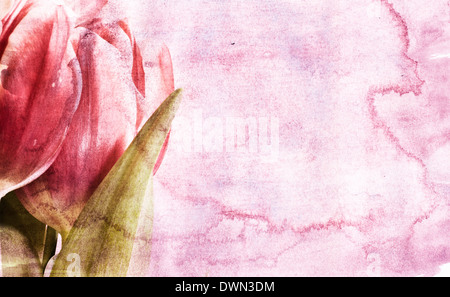 Red spring tulips over vintage background Stock Photo