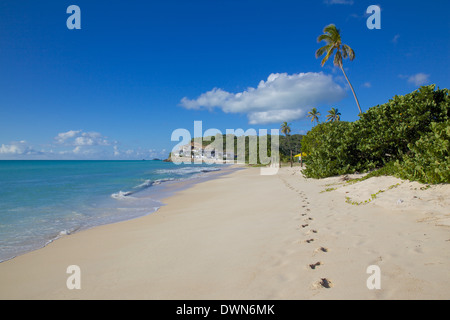 Darkwood Beach, St. Johns, Antigua, Leeward Islands, West Indies, Caribbean, Central America