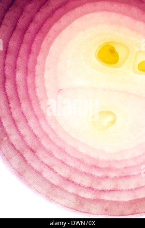 A cross section of a spanish or red onion on a white background Stock Photo