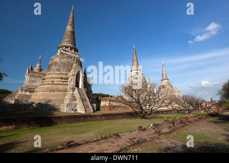 Ruins of Wat Phra Sri Sanphet, Ayutthaya, UNESCO World Heritage Site, Ayutthaya Province, Thailand, Southeast Asia, Asia Stock Photo