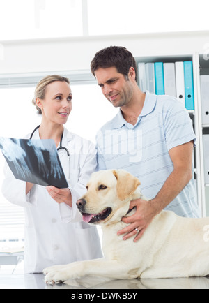 Vet showing Xray of dog to pet owner Stock Photo