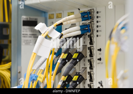 fiber optic data center with media converters and optical cables Stock Photo