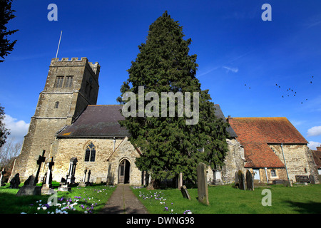 General view of the Parish Church of St. Michael The Archangel, Smarden, Kent on a sunny day Stock Photo