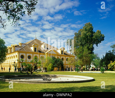 Royal Andalusian School of Equestrian Art or Real Escuela Andaluza del Arte Ecuestre, Jerez de la Frontera, Andalusia, Spain Stock Photo