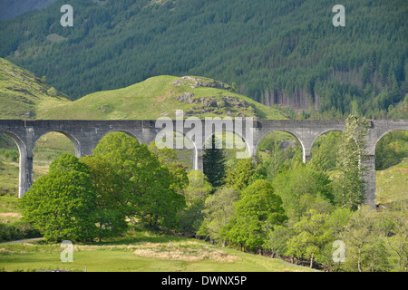 Glenfinnan Viaduct on the West Highland Line, used in the Harry Potter films, Glenfinnan, Scottish Highlands, Scotland Stock Photo