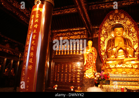 Temple at the Wild Goose Pagoda in downtown Xian, China Stock Photo