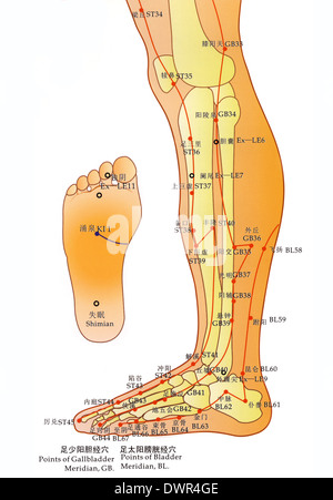 Acupuncture Chart Stock Photo