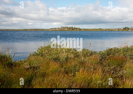 Canada, Newfoundland, Gros Morne National Park. Western Brook Pond. Stock Photo