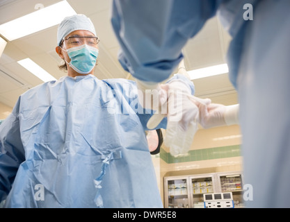 Nurse Assisting Doctor In Wearing Surgical Glove Stock Photo