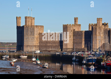 Caernarfon Castle in the town of Caernarfon in Gwynedd on the north coast of Wales in the United Kingdom Stock Photo