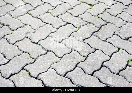 background of paving stone bricks on the floor Stock Photo