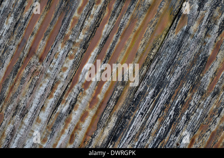 Abstract rusty metal texture of rippled steel sheet. Galvanised sheet side wall of an abandoned shed faded by time. Stock Photo