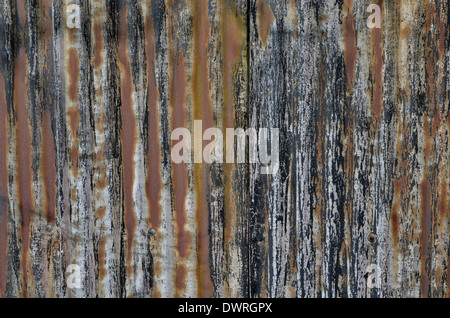 Abstract rusty metal texture of rippled steel sheet. Galvanised sheet side wall of an abandoned shed faded by time. Stock Photo