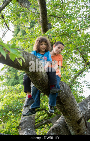 2 Two boys climbing tree Stock Photo