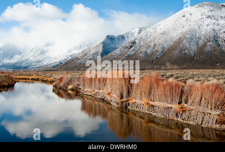 Erosion Control on a Sierra Nevada Riverbank Stock Photo