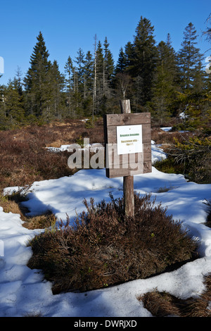 Naucna stezka Bozidarske raseliniste, Bozi dar pathway, Ore mountains, Czech Republic. Bozidarske peat bog - educational trail Stock Photo
