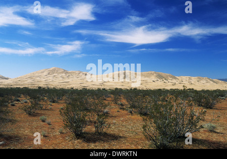 Elk248-2664 California, Mojave National Preserve, Kelso Dunes Stock Photo