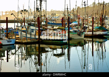 Afternoon Light on the Harbor in Autumn Stock Photo