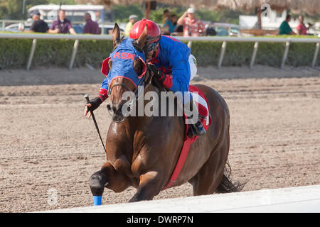 Hallandale Beach, Florida, USA. 12th Mar, 2014. Social Inclusion with Luis Contreras up, wins easily over favorite Honor Code in a 3 year old allowance race at Gulfstream Park, Hallandale Beach Florida. 03-12-2014 © Arron Haggart/Eclipse/ZUMAPRESS.com/Alamy Live News Stock Photo