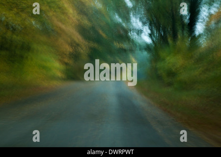 Full frame abstract background of road and avenue of trees in autumn using intentional motion blur Stock Photo