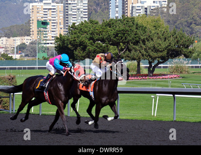 two jockeys hand ride their  thoroughbred race horses to the finish line in a Golden Gate fields horse race Stock Photo