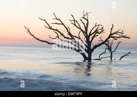 Dawn at Botany Bay Beach Stock Photo