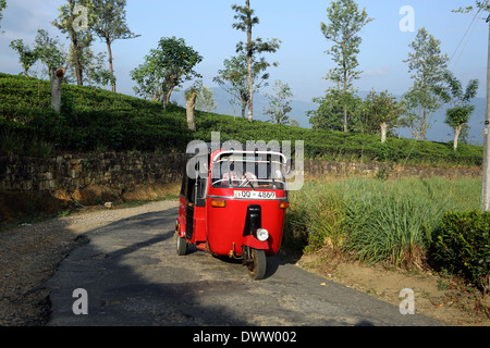 Tuk tuk motor taxi driving along main road through tea plantations in the Sri Lanka highlands Stock Photo