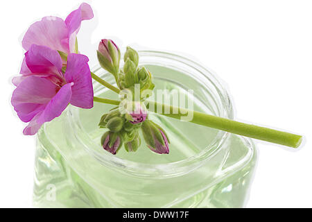 Essential oil Stock Photo