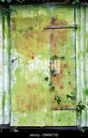 An old corrugated iron shed door with fading green paint, UK Stock Photo