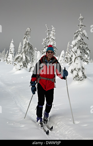 WASHINGTON - Cross-country skier among snow covered trees at the summit of Amabilis Mountain in the Wenatchee National Forest. Stock Photo