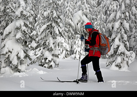 WASHINGTON - Cross-country skier among snow covered trees at the summit of Amabilis Mountain in the Wenatchee National Forest. Stock Photo