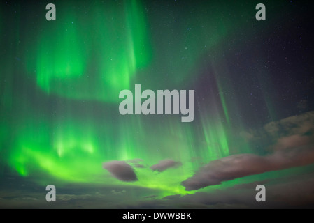 Aurora Borealis or Northern Lights, Abisko, Lapland, Sweden Stock Photo