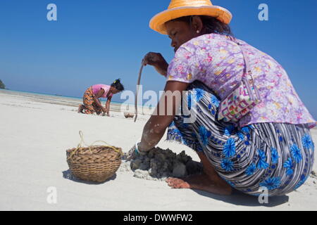 Mar 1, 2014 - Ko Surin, Thailand - Moken women forage for food during low tide at a beach near their village in Ko Surin National Park. Often called sea nomads or sea gypsies, the Moken are a seafaring people who for centuries lived nomadically on the Andaman Sea. However, due to stricter border control, commercial overfishing, rapid development, and tourism, the Moken have gradually been forced to adopt a settled lifestyle. Today, the Moken who live in Koh Surin National Park, one of Thailand's most remote group of islands, have it better than many of their kin and are still able to live a li Stock Photo