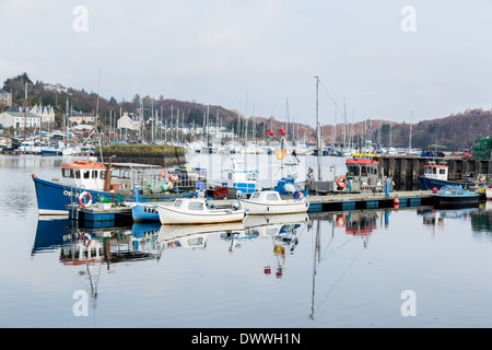 Fishing boats in Tarbert (Argyll and Bute, Scotland) harbour. Stock Photo