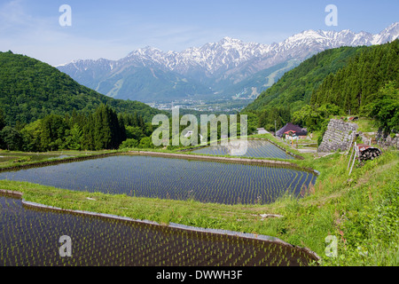 Japanese Northern Alps and rice paddies, Nagano Prefecture, Japan Stock Photo