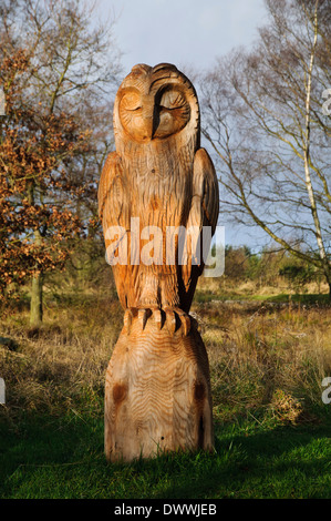 A wooden carving of an owl outside the Sutton Bank Visitor Centre in the North York Moors National Park. December. Stock Photo