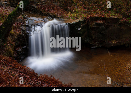 A waterfall on Blow Gill as it flows through winter woodland carpeted with fallen leaves, near Hawnby Stock Photo