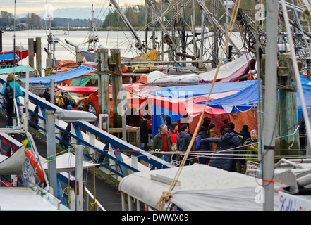 Buyers of fresh seafood visit the fishermen selling off their fishing boats at Fisherman's Wharf in Steveston, British Columbia. Stock Photo