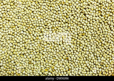 Southern Butter Peas Stock Photo Alamy