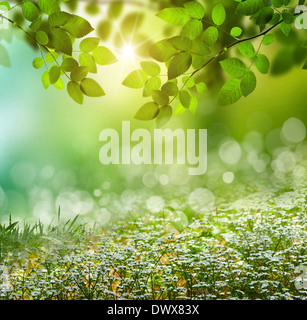 Spring or summer season abstract nature background with grass and blue sky in the back Stock Photo