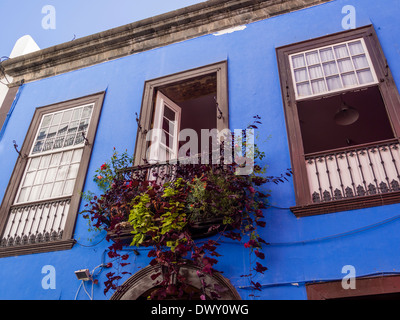 A balcony decorated with flowers at a business and residential house in the shopping street Calle Perez de Brito at Santa Cruz. Stock Photo