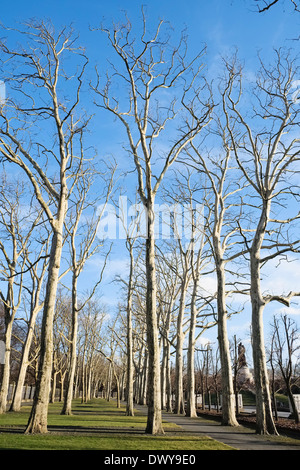 Trees on Soviet War Memorial, Treptower Park, Berlin, Germany Stock Photo