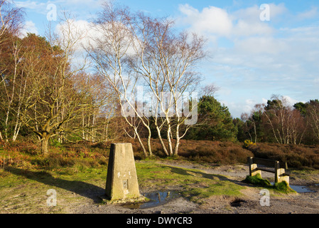 The trig point at Hesworth common near Fittleworth, West Sussex, UK Stock Photo