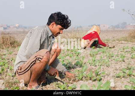 Indian Farmer Working in Field Stock Photo