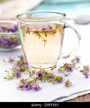 Cup of herbal thyme tea with fresh herb flowers Stock Photo