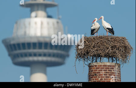 Mannheim, Germany. 12th Mar, 2014. Two white storks stand in their nest in front of the Mannheim telecommunication tower at Luisenpark municipal park in Mannheim, Germany, 12 March 2014. The park is home to the biggest urban stork colony in Germany. Photo: UWE ANSPACH/dpa/Alamy Live News Stock Photo