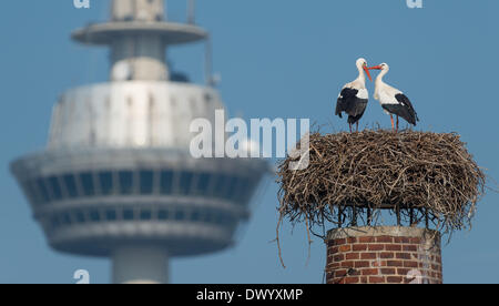 Mannheim, Germany. 12th Mar, 2014. Two white storks stand in their nest in front of the Mannheim telecommunication tower at Luisenpark municipal park in Mannheim, Germany, 12 March 2014. The park is home to the biggest urban stork colony in Germany. Photo: UWE ANSPACH/dpa/Alamy Live News Stock Photo