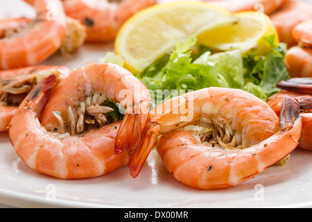 Fresh pink shrimp cocktail platter Stock Photo