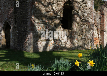 Netley Abbey ruins in early spring Stock Photo